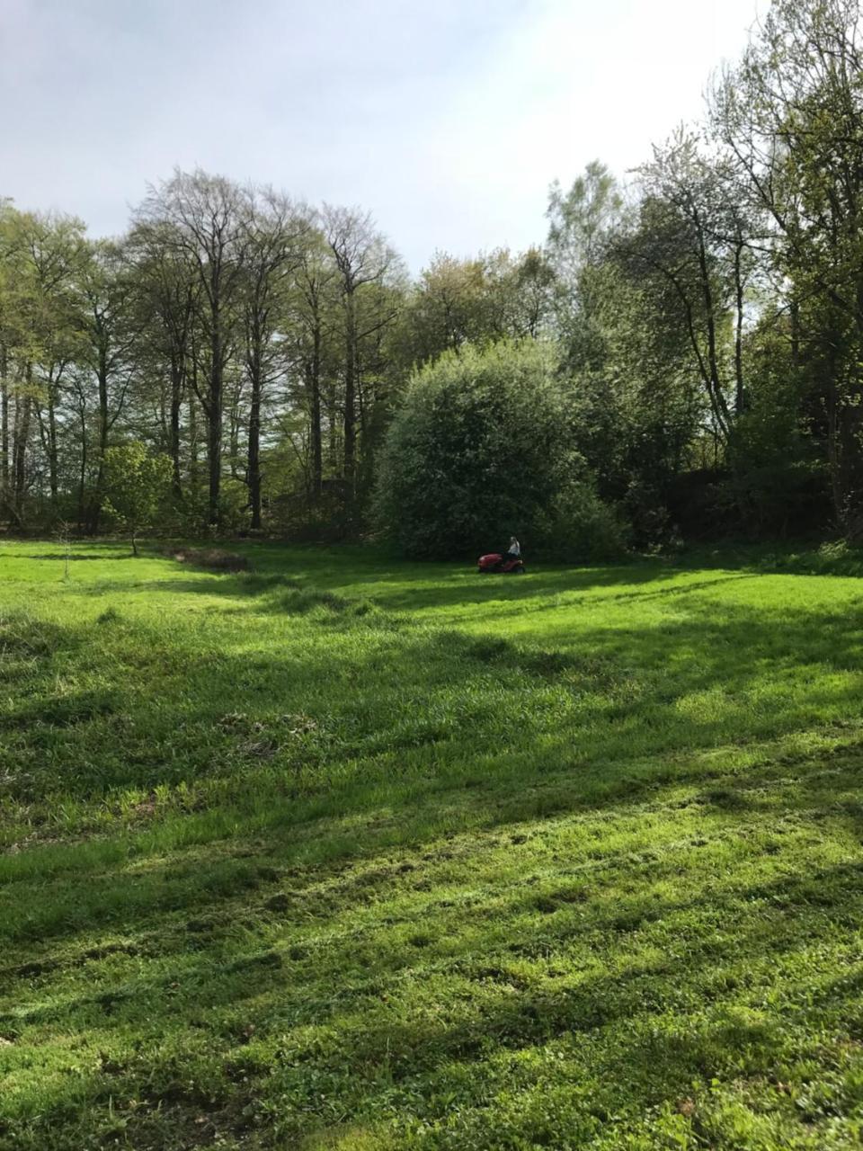 Borstel - Alte Schmiede Daire Dış mekan fotoğraf
